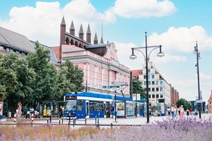 Neue Markt mit Rostocker Rathaus vor dem eine Straßenbahn steht. im Vordergrund blühende Blumenwiese